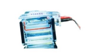 Quick Coomassie Stain