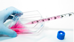 Human Mesenchymal Stem Cells: The Key to Unlocking New Discoveries in Biomedical Research