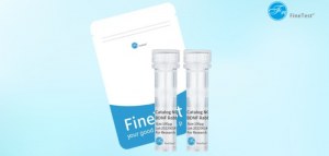 Save 25% OFF on FineTest Flow Cytometry Antibodies!