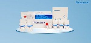 Save 15% OFF on all Recombinant Proteins from Elabscience!