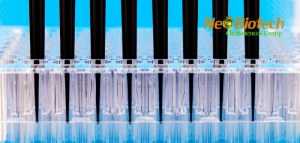 70% OFF NeoGelPure Kit – Competitive Pricing for High-Purity DNA