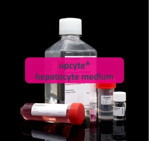 Hepatocyte medium for upcyte® and primary cells