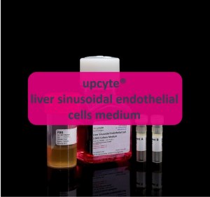 Liver sinusoidal endothelial cells medium